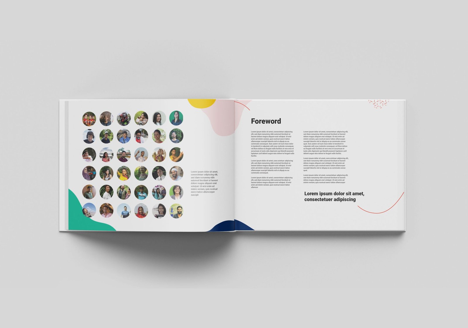 page 1 view- foreword